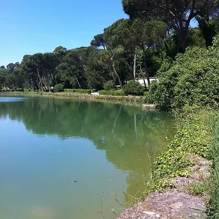 Bed & Breakfast The Frogs And Company Rome