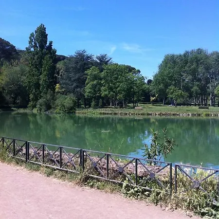 The Frogs And Company